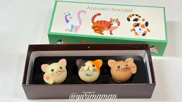 いよてつ高島屋アムールデュショコラ2026で購入した猫モチーフのアニマルショコラ - ゆりママんブログ いよてつ高島屋アムールデュショコラ2026で購入した猫モチーフのアニマルショコラ