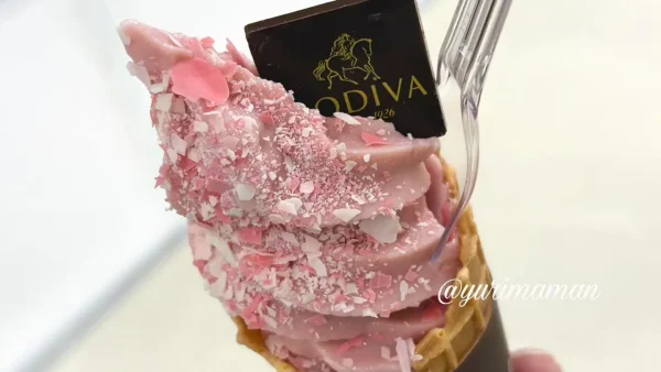 いよてつ高島屋アムールデュショコラ2026限定ゴディバのショコラソフトクリーム - ゆりママんブログ いよてつ高島屋アムールデュショコラ2026限定ゴディバのショコラソフトクリーム