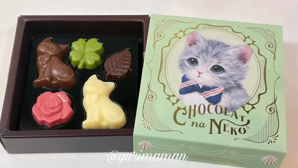 いよてつ高島屋アムールデュショコラ2026で販売されている猫パッケージのチョコレート - ゆりママんブログ いよてつ高島屋アムールデュショコラ2026で販売されている猫パッケージのチョコレート