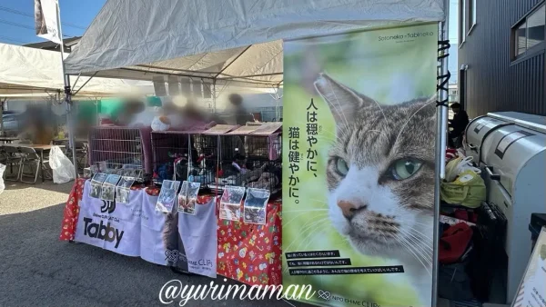 保護子猫と参加した譲渡会のようす - ゆりママんブログ 保護子猫と参加した譲渡会のようす