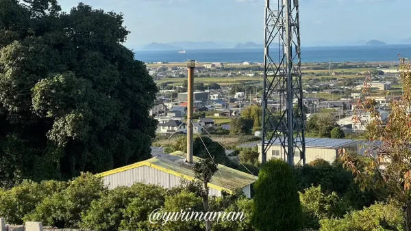 小さな命を想い、そっと供養した日の記録 - ゆりママんブログ 小さな命を想い、そっと供養した日の記録