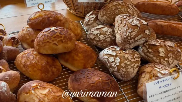 パン屋晴れの日のハード系パンが並ぶ売り場