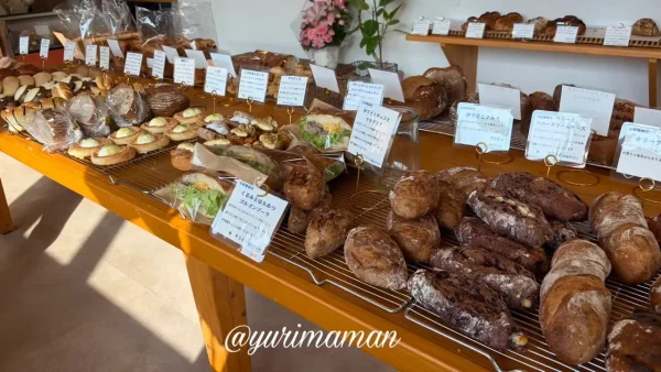 パン屋晴れの日の売り場にパンがずらり並ぶ様子1