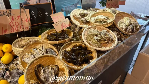 しまなみ牡蠣処で販売されている殻付き牡蠣（今治・大島産）2