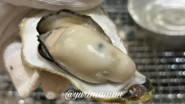 焼きたての殻付き牡蠣の身（しまなみ牡蠣処の焼き牡蠣）