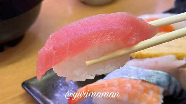 スシロー平日限定ランチのまぐろ寿司を箸で持ち上げた様子
