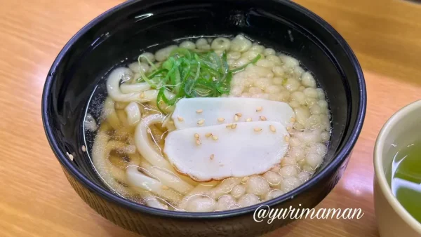 スシローの平日ランチセットのかけうどん