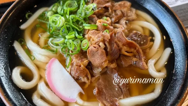 天までとどけで注文した肉うどん（もちもちの讃岐うどんと甘めのつゆ）2