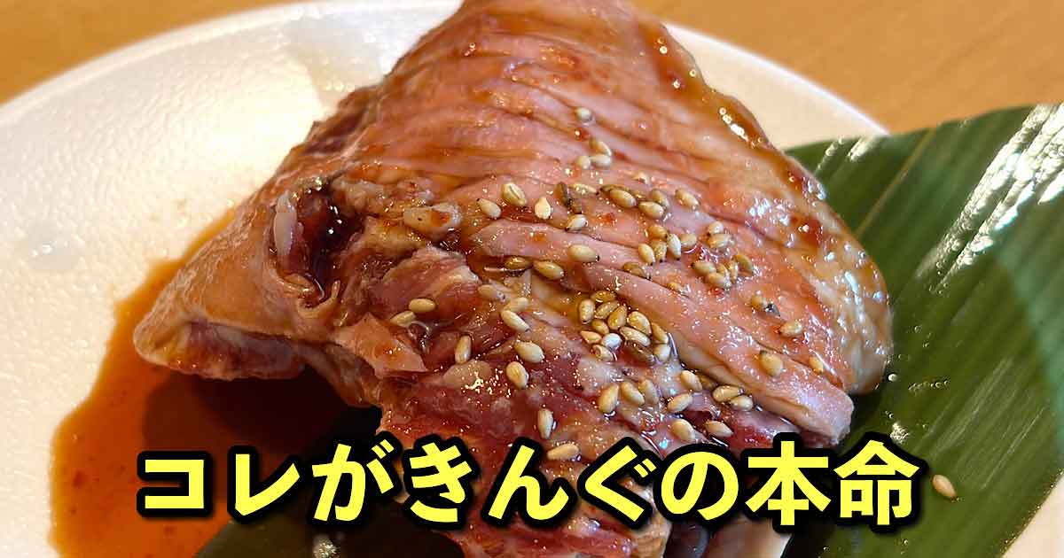 焼肉きんぐのきんぐコースを実食レビュー｜サムネイル画像