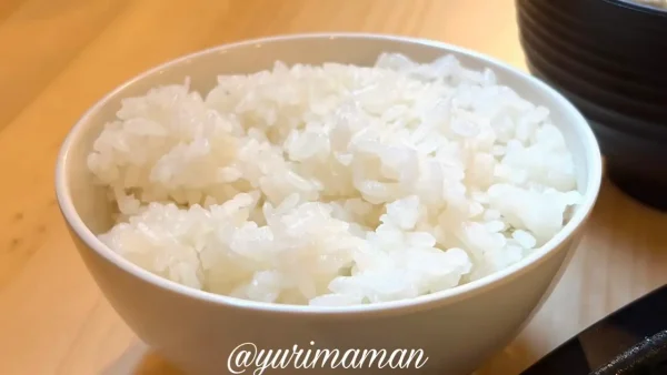 びっくり焼亭のびっくり焼き定食のごはん(通常サイズ) - ゆりママんブログ びっくり焼亭のびっくり焼き定食のごはん(通常サイズ)