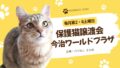 今治ワールドプラザで開催される保護猫譲渡会イベントのお知らせ｜サムネイル画像