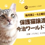 今治ワールドプラザで開催される保護猫譲渡会イベントのお知らせ｜サムネイル画像