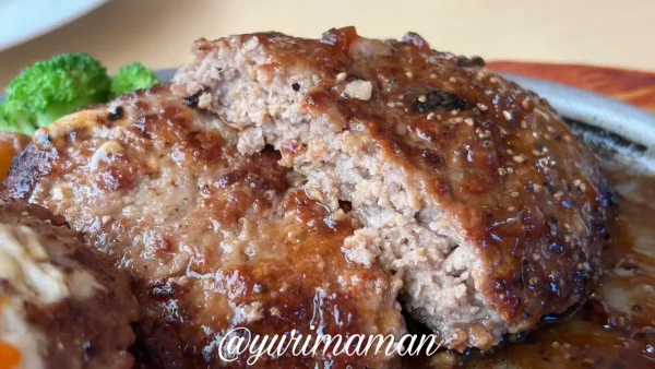 ジョイフルのツインハンバーグのアップ3 - ゆりママんブログ ジョイフルのツインハンバーグのアップ3