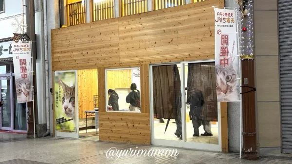 松山市銀天街で開催されている保護猫譲渡会の会場のようす - ゆりママんブログ 松山市銀天街で開催されている保護猫譲渡会の会場のようす