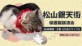 松山市銀天街で開催されている保護猫譲渡会｜サムネイル画像