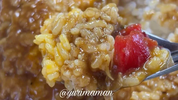 松山市太養軒のジャンボカツカレーのアップ