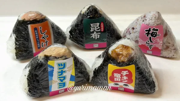 イオンスタイル松山で購入したキッチンオリジンのおにぎり5種類-2