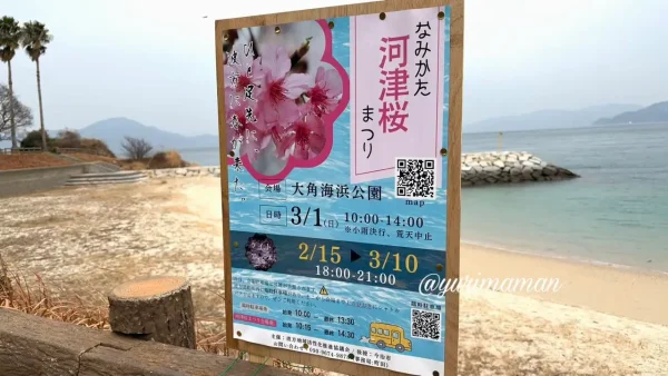 大角海浜公園「なみかた河津桜まつり2026」のイベントポスター