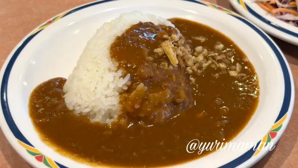 ステーキガストの日替わりカレー（10種野菜のキーマカレー）1