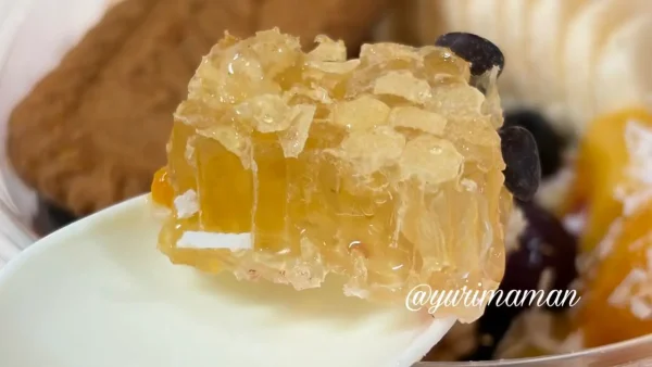 アサイー工房今治店のコムハニーのアップ