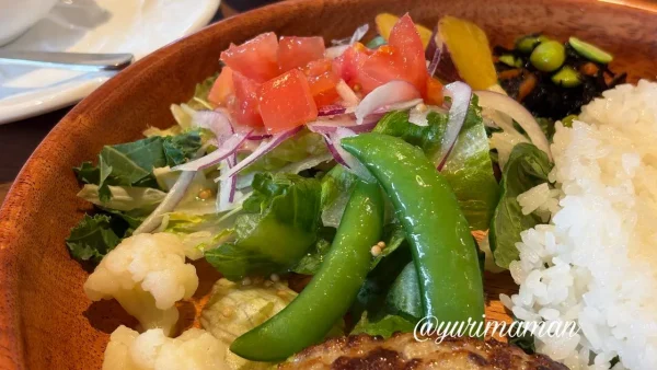 びっくりドンキー伊予松前店のいろどりセット 9種類の野菜 - ゆりママんブログ びっくりドンキー伊予松前店のいろどりセット 9種類の野菜