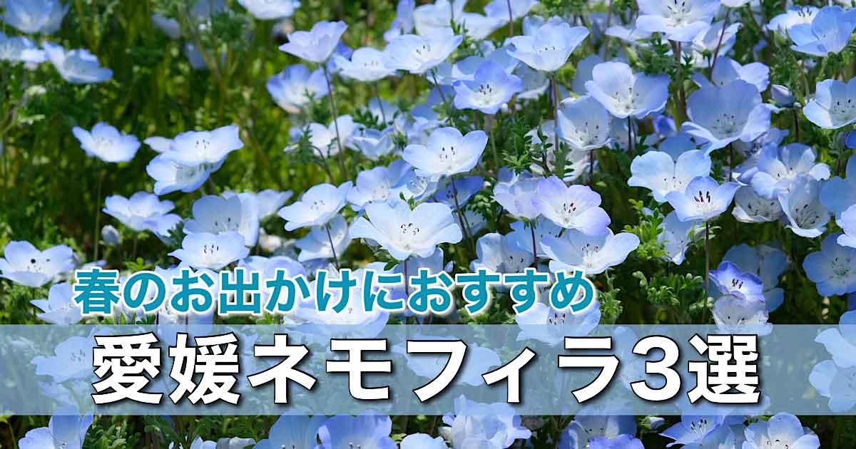 愛媛 ネモフィラ畑 見頃 春のおでかけスポット（2026）