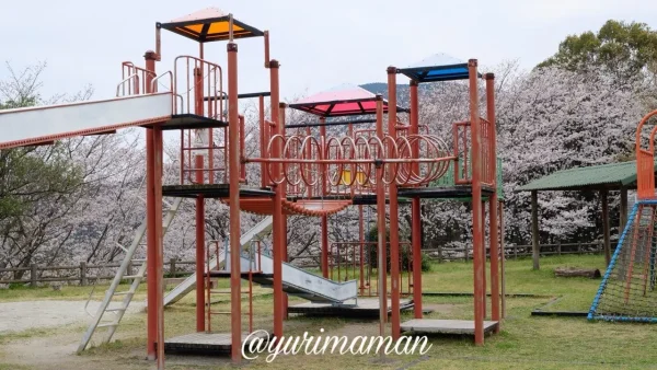 ふたみ潮風ふれあい公園の遊具広場と桜2
