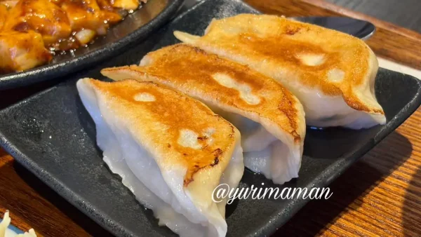 松山市久万ノ台ハルピンの餃子