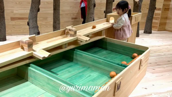 しまなみ木のおもちゃ美術館 フルーツ収穫遊び2