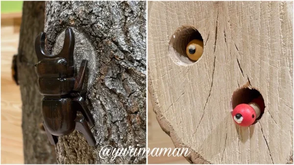 しまなみ木のおもちゃ美術館 虫とり体験1