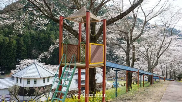 伊予市中山町「栗の里公園」桜が囲むすべり台 - ゆりママんブログ 伊予市中山町「栗の里公園」桜が囲むすべり台