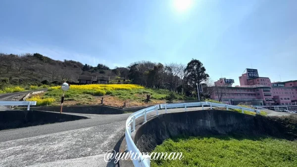 伊予市八倉 伊予病院の隣にある菜の花畑の場所