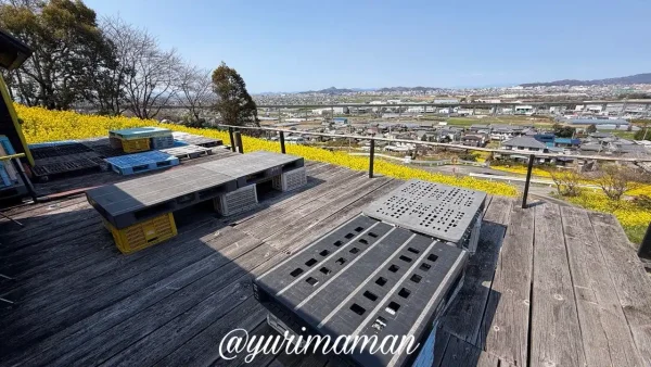 伊予市八倉 菜の花畑の展望デッキから見える景色