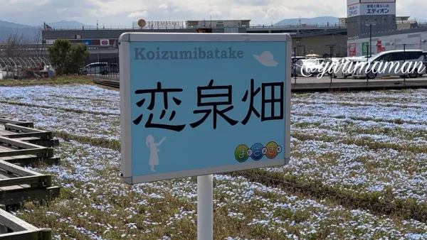 松前町エミフル近く、伊予鉄古泉駅向かい側にある恋泉畑