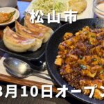 松山市久万ノ台に移転オープンした町中華「美食坊ハルピン」の麻婆豆腐と焼き餃子ランチ