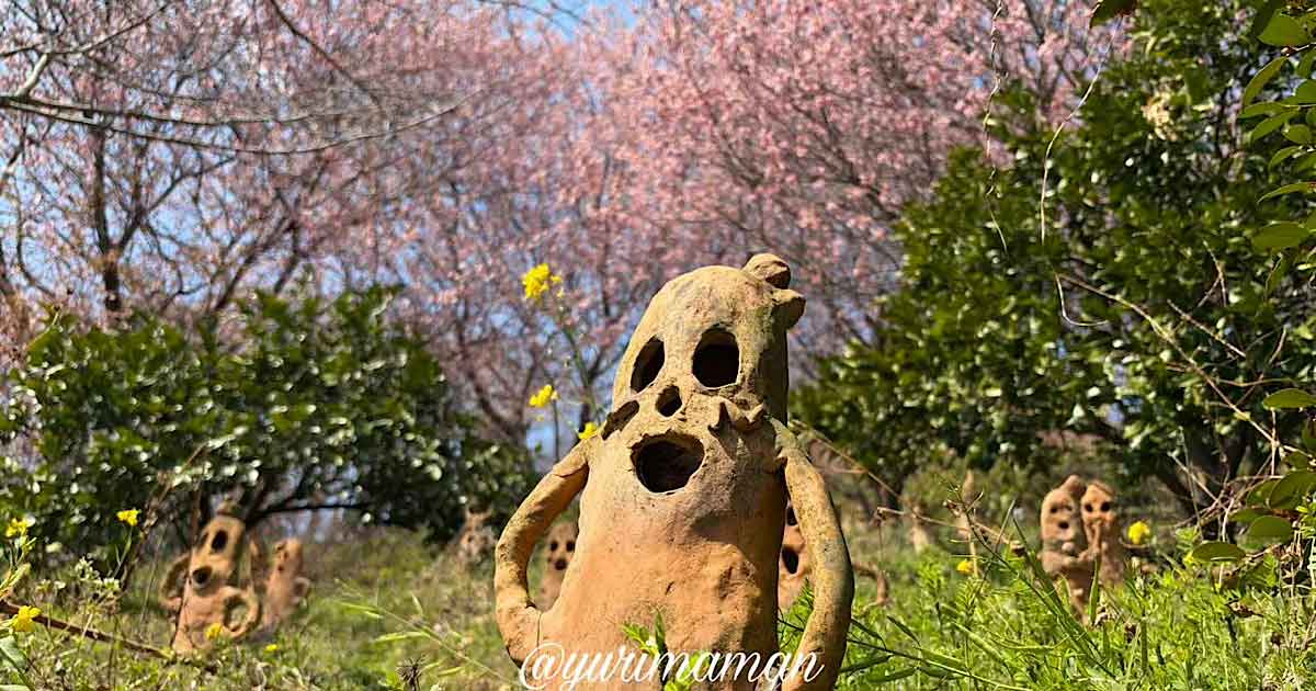 松山市鷹子町の里山古墳農園で咲く桜と菜の花