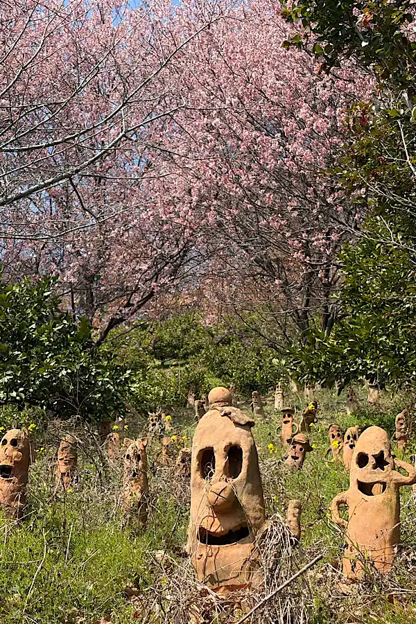 里山古墳農園の桜と並ぶ埴輪（松山市鷹子町）1
