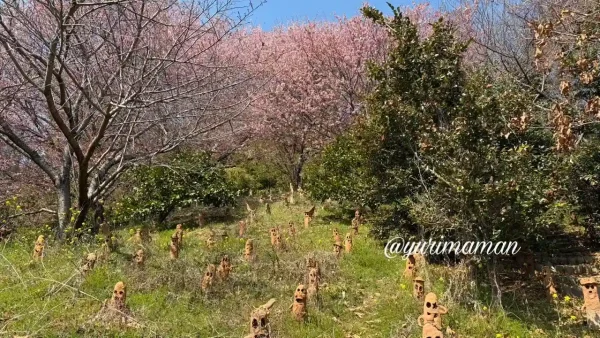 里山古墳農園の桜と並ぶ埴輪（松山市鷹子町）3