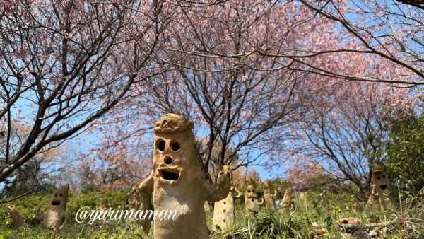 里山古墳農園の桜と並ぶ埴輪（松山市鷹子町）2