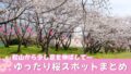 松山周辺のゆったり楽しめる桜スポットまとめ｜駐車場ありのお花見スポット2026