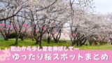 松山周辺のゆったり楽しめる桜スポットまとめ｜駐車場ありのお花見スポット2026