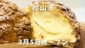 松山市北条のパティスリーTEFILのシュークリーム