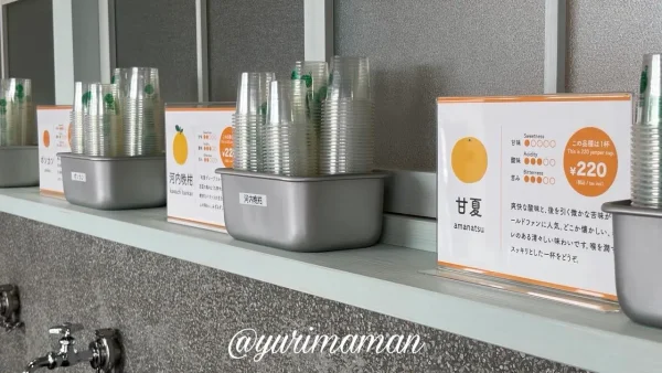 せとかや甘夏などみかんジュースのメニュー掲示