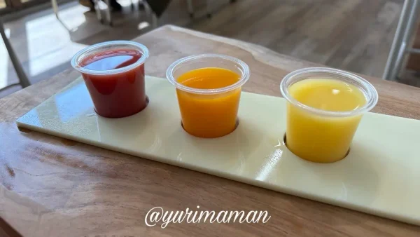 せとか 河内晩柑 ブラッドオレンジの飲み比べ1