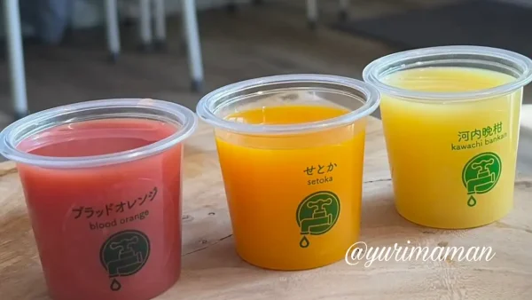せとか 河内晩柑 ブラッドオレンジの飲み比べ2