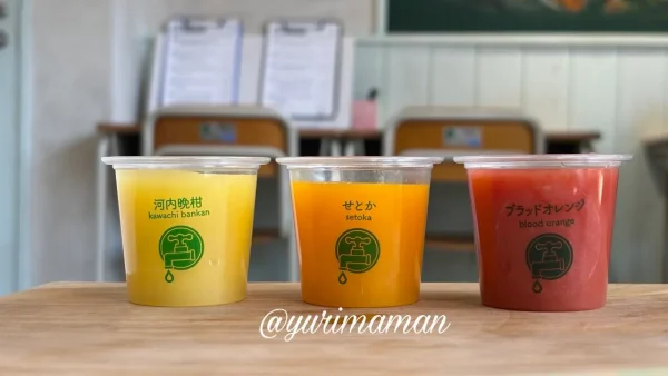 せとか 河内晩柑 ブラッドオレンジの飲み比べ3