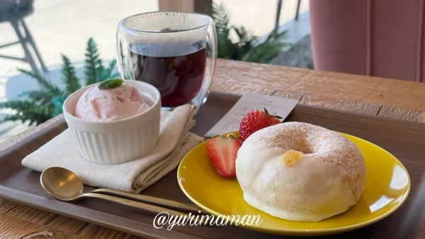 ミサキドーナツのご褒美プレート（ドーナツ・ジェラート・紅茶）