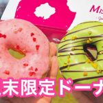 西条市いとまちマルシェの芝生広場でミサキドーナツを2つ手に持つ様子