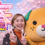 新居浜市 黒島海浜公園 しろしま春まつり2026 みきゃんとイベントの様子