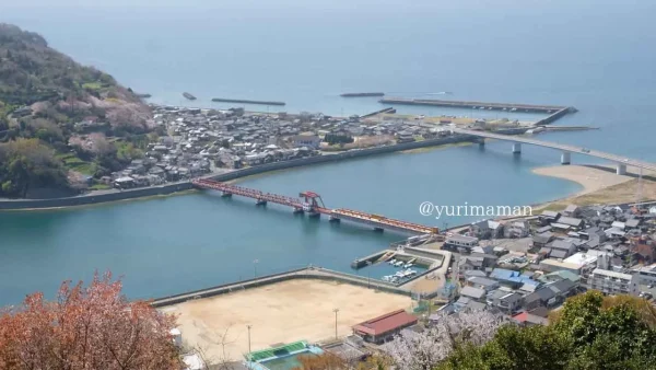 大洲市長浜町 肱川あらし展望公園から見た桜と海と町並みの景色1 - ゆりママんブログ 大洲市長浜町 肱川あらし展望公園から見た桜と海と町並みの景色1